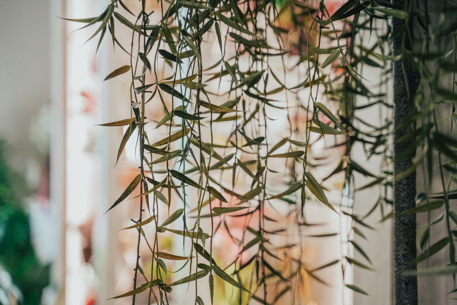 Kentya Floristas