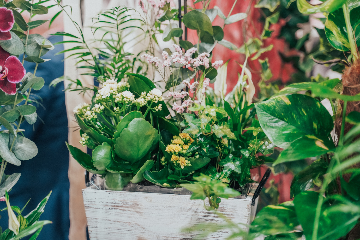 Kentya Floristas