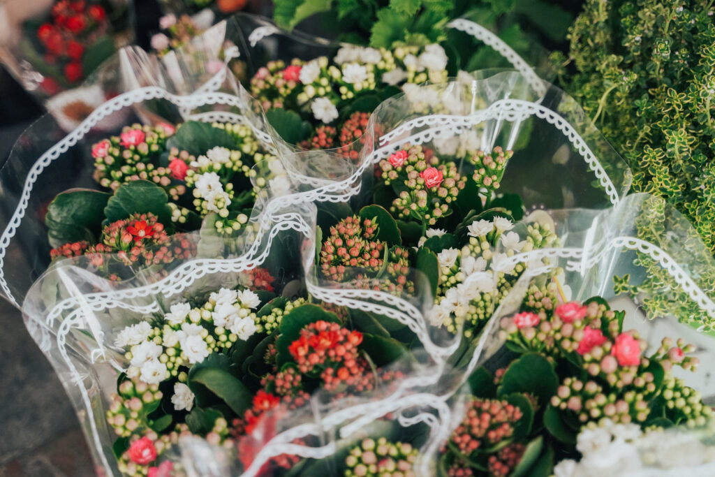 Kentya Floristas