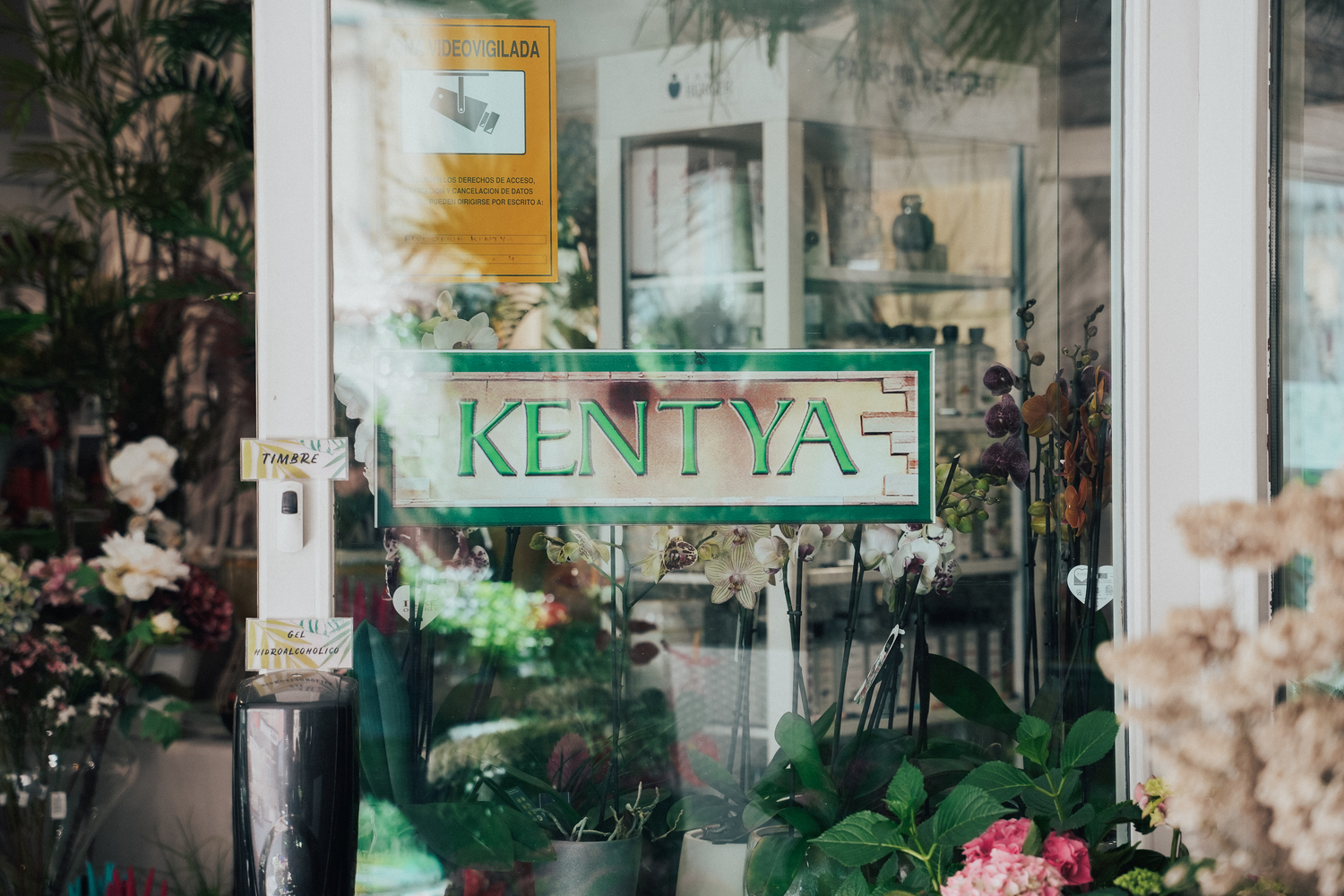 Kentya Floristas