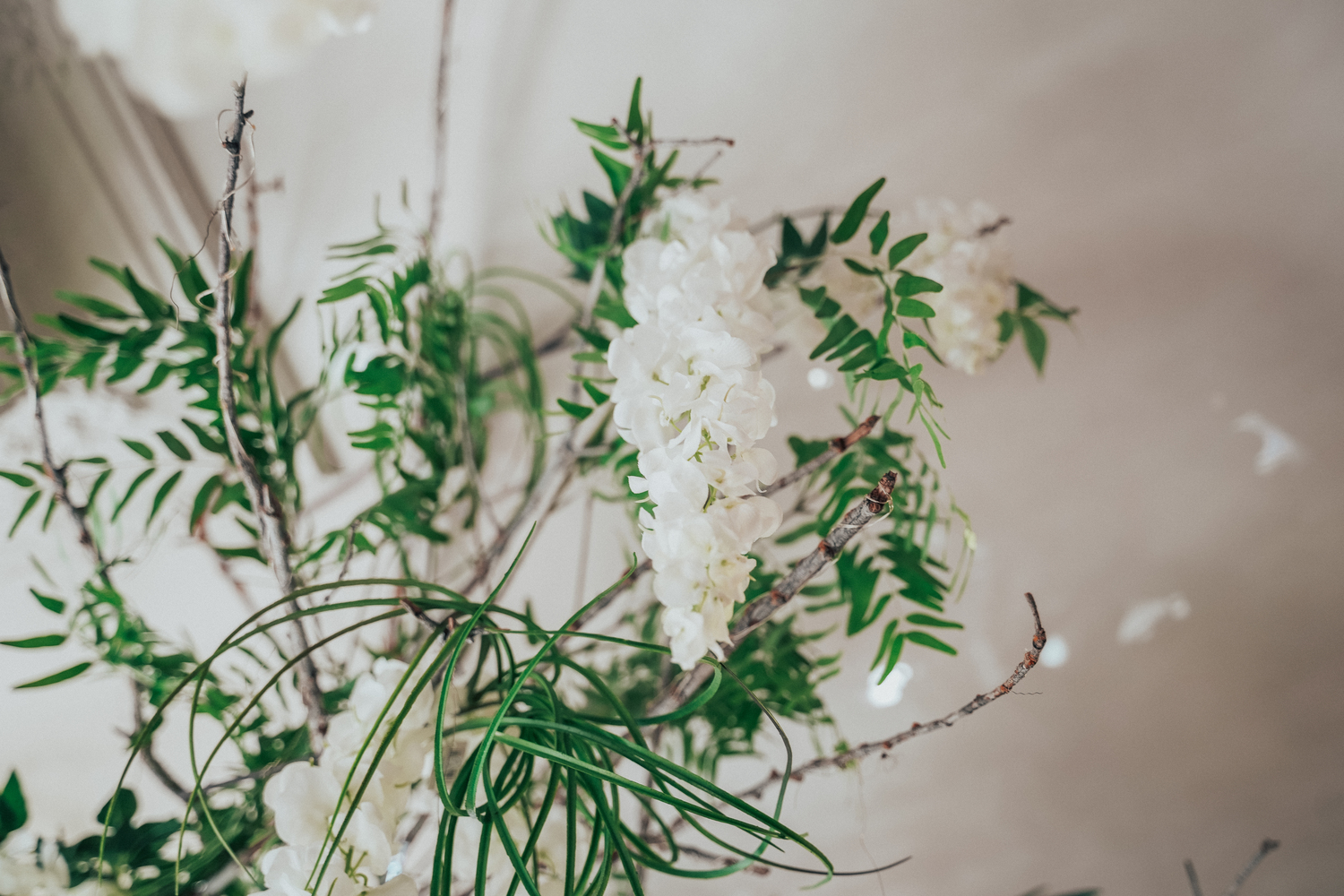 Kentya Floristas